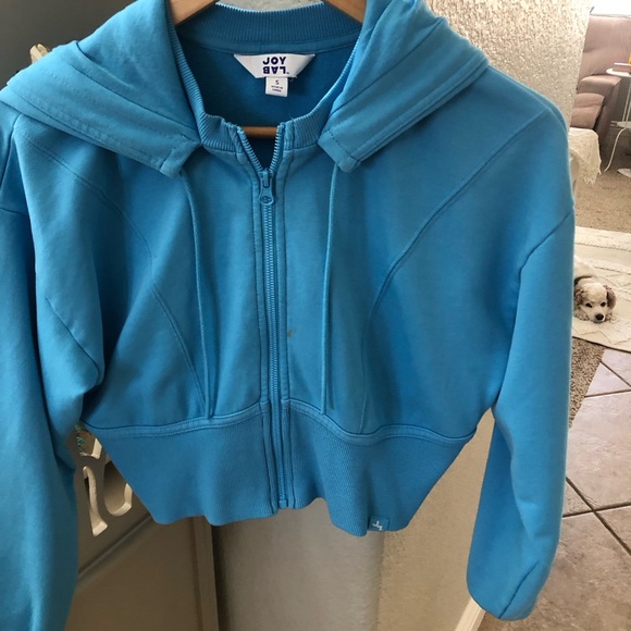 Beautiful color. Joy labcrop hoody   Add do nice - Picture 1 of 3